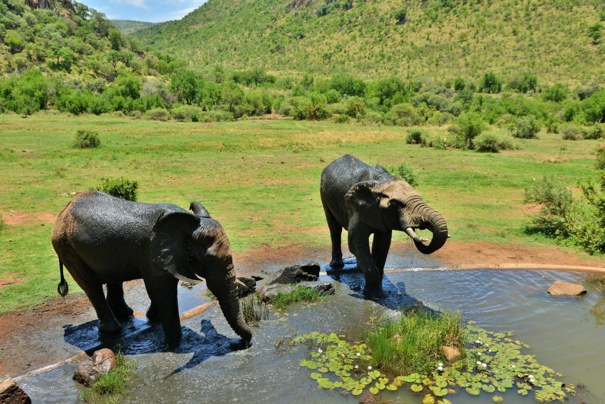 Kwa Maritane Lodge Ledig Kültér fotó