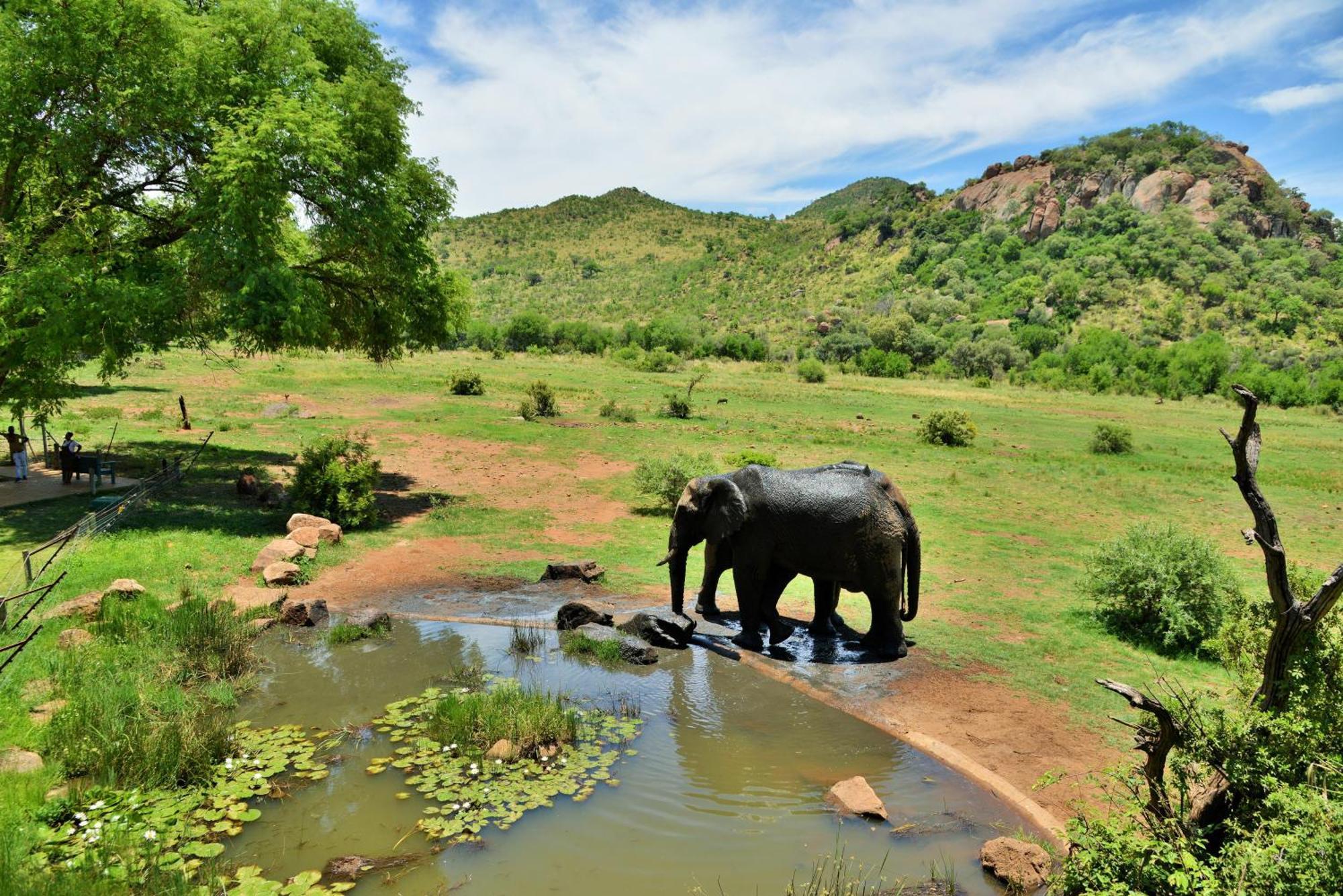 Kwa Maritane Lodge Ledig Kültér fotó