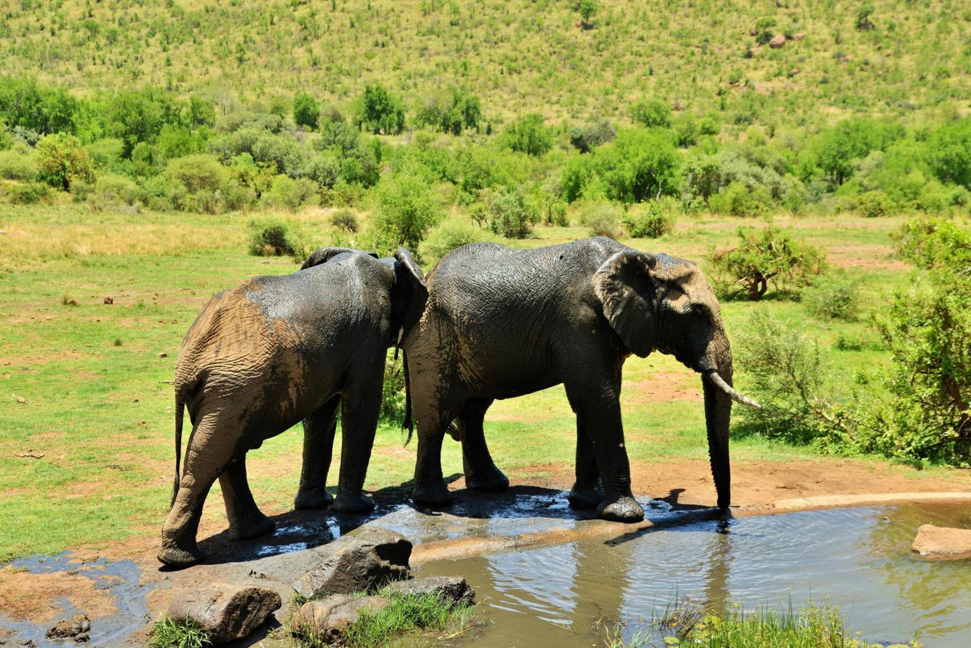 Kwa Maritane Lodge Ledig Kültér fotó
