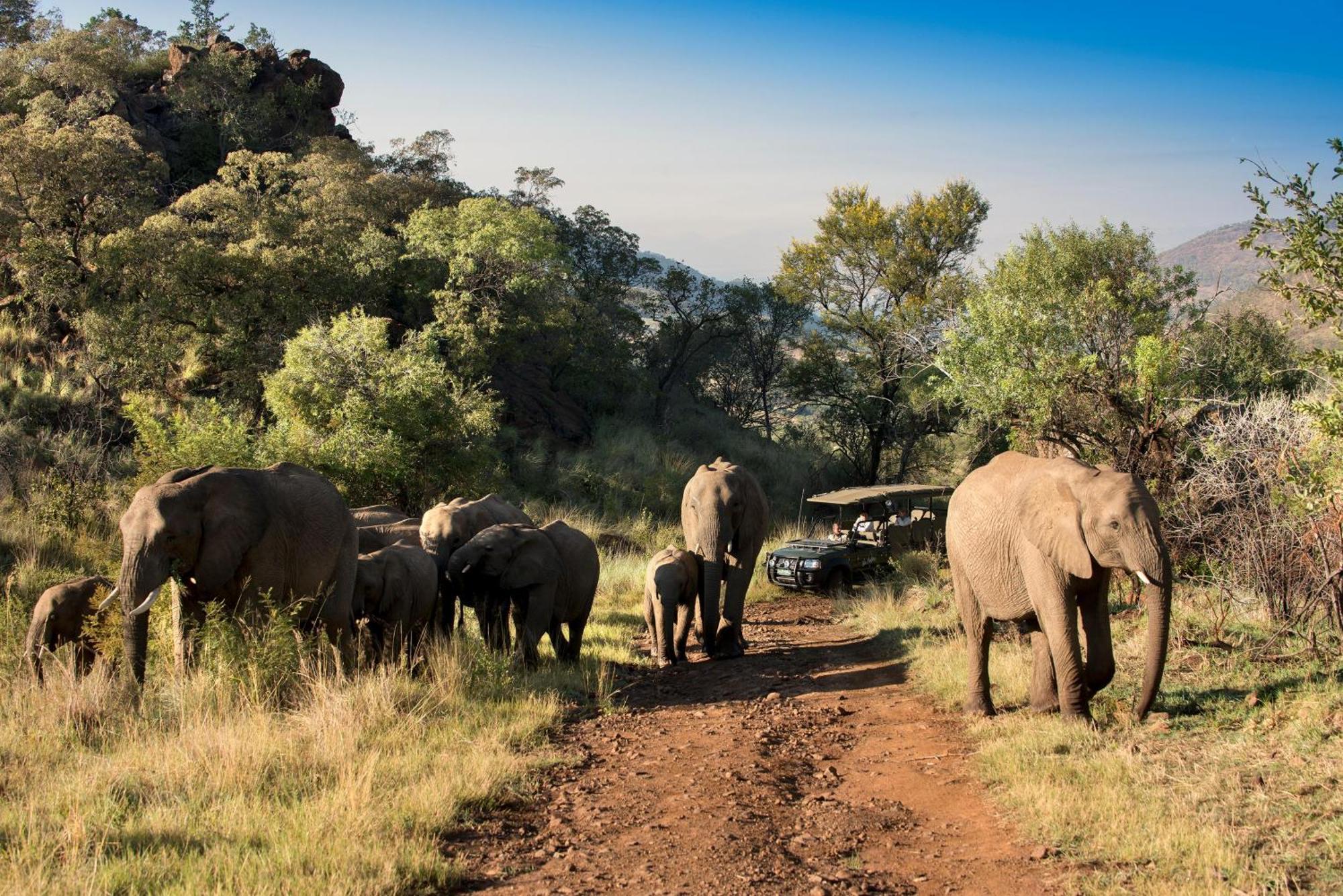 Kwa Maritane Lodge Ledig Kültér fotó